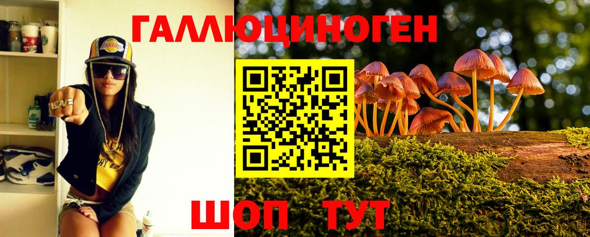 Псилоцибиновые грибы Psilocybine cubensis Пермь