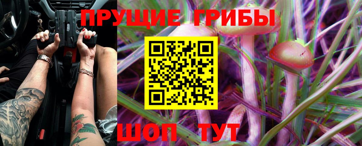 Псилоцибиновые грибы прущие грибы  Вход с VPN  Пермь  Псилоцибиновые грибы Cubensis 